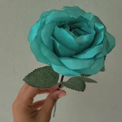 Rosas Realistas😍