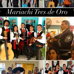Servicio de Mariachis
