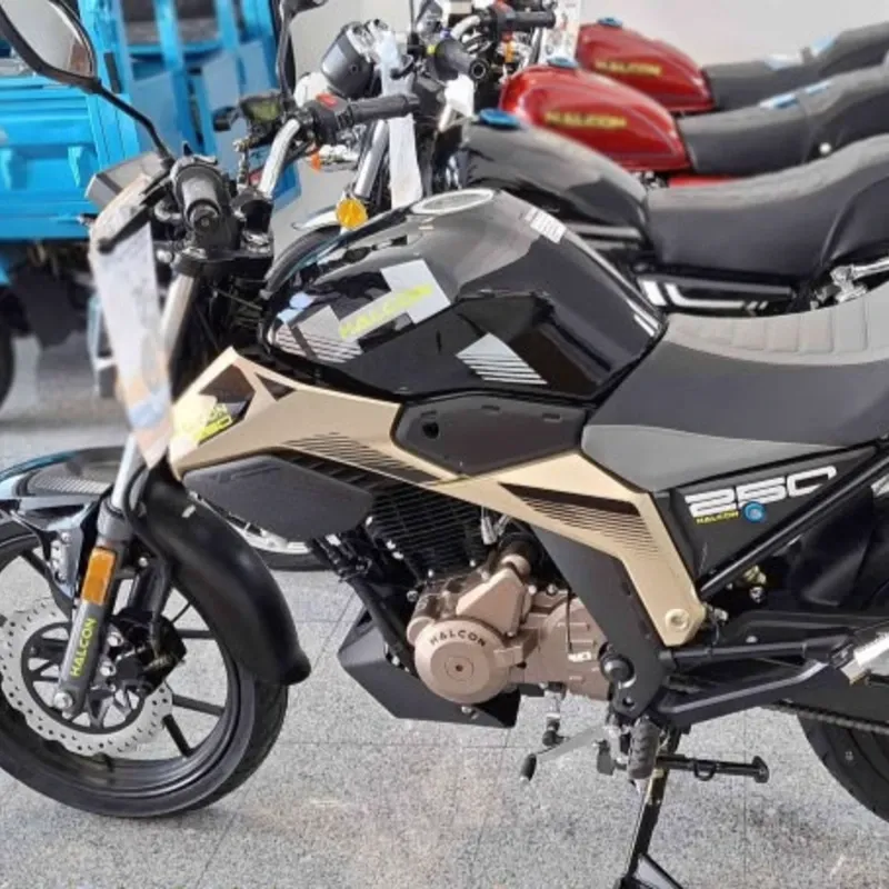 𝐌𝐎𝐓𝐎 𝐃𝐄𝐏𝐎𝐑𝐓𝐈𝐕𝐀 HALCON 250cc`