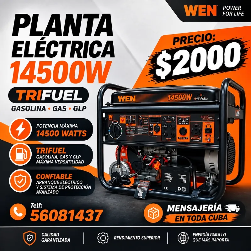 Planta Americana marca Wen 14500 watts