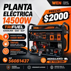 Planta Americana marca Wen 14500 watts