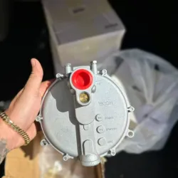 Regulador de Gas  Para plantas Eléctrica