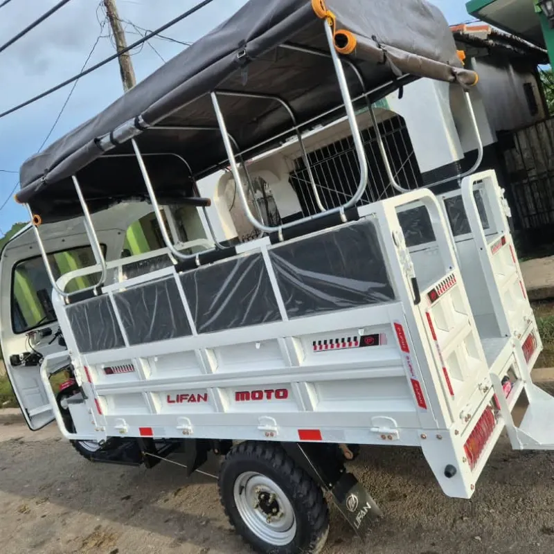 Triciclo de combustión Lifan 250cc de carga y paseo