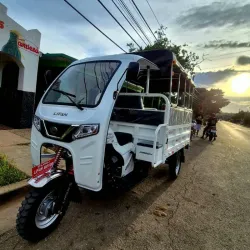 Triciclo de combustión Lifan 250cc de carga y paseo
