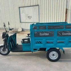 TRICICLO ELÉCTRICO KVITOVA PREMIUM