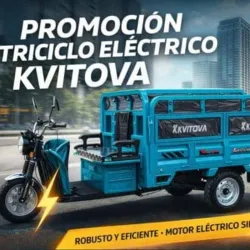Triciclo kvitova Modelo: DDS-OD