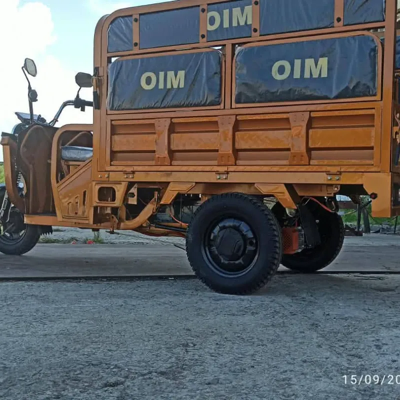 Triciclos Oim de pasaje