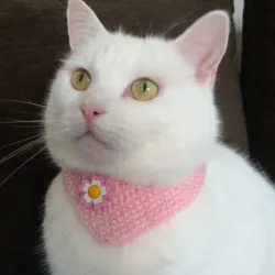 Bandana con adorno 