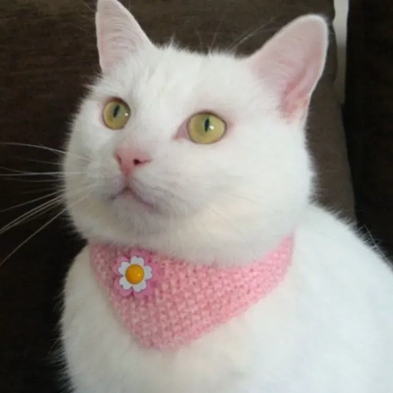 Bandana con adorno 