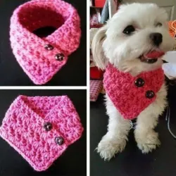 Bandana triangular 