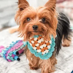 Bandana