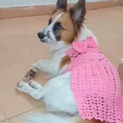 Bata con lazo de accesorio 