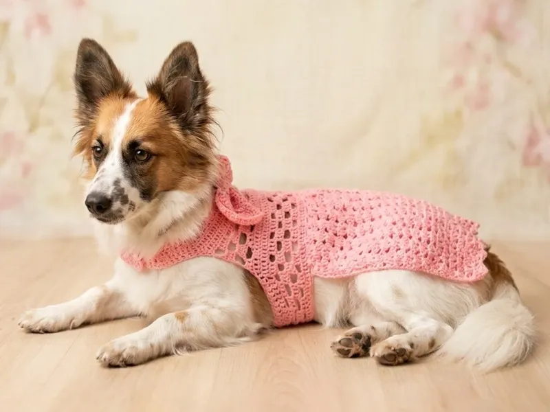 Paticas crochet