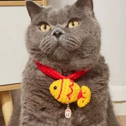 Collar pez