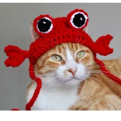 Gorrito cangrejo