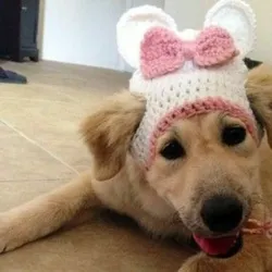 Gorrito de lazo