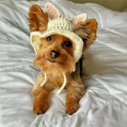 Gorrito orejitas