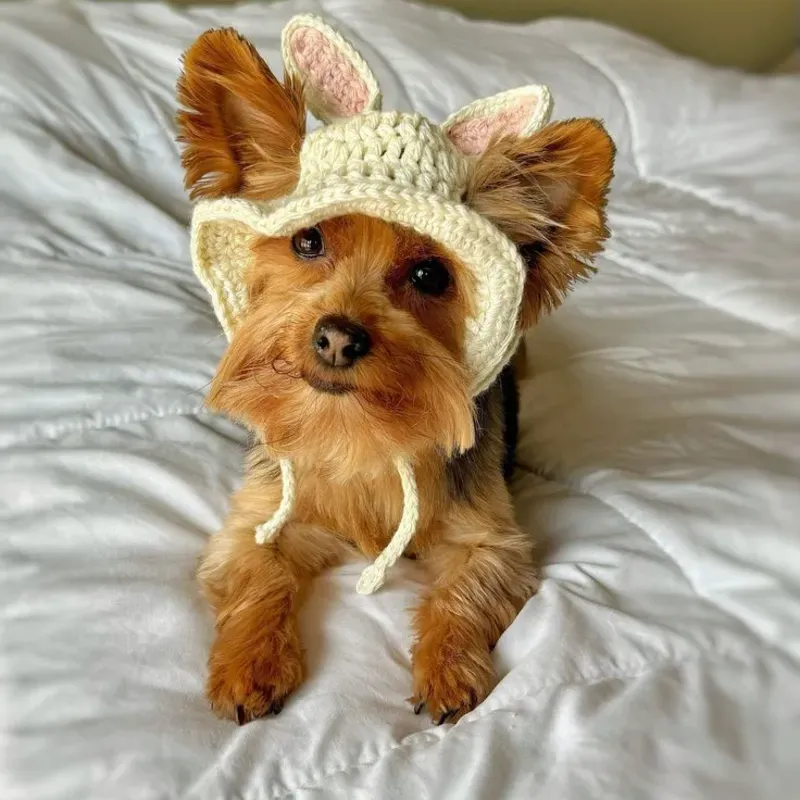Gorrito orejitas