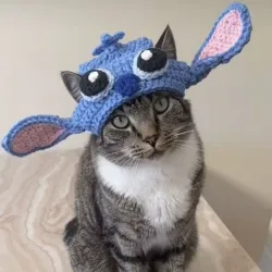 Gorrito Stich