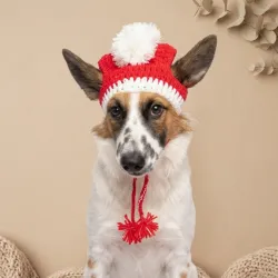 Gorro navidad
