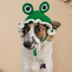 Gorro ranita