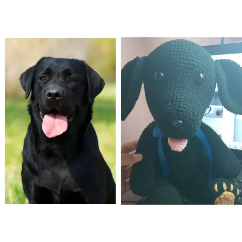 Mascotas personalizadas