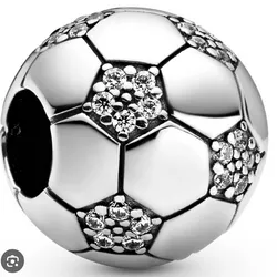 Charm pandora