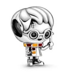 Charm pandora