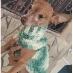 Suéter para mascotas 