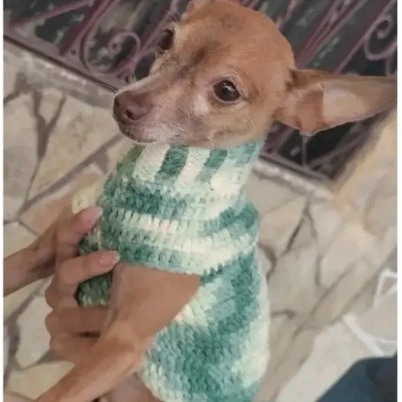 Suéter para mascotas 