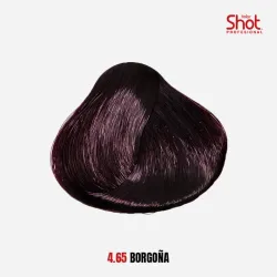 4.65 Borgoña