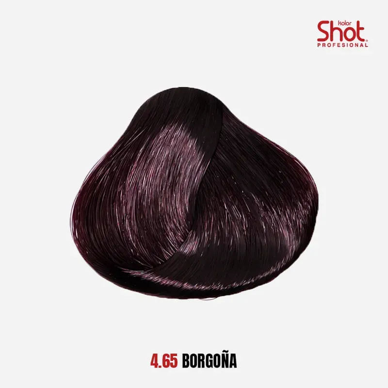 4.65 Borgoña