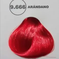 9.666 Arandano