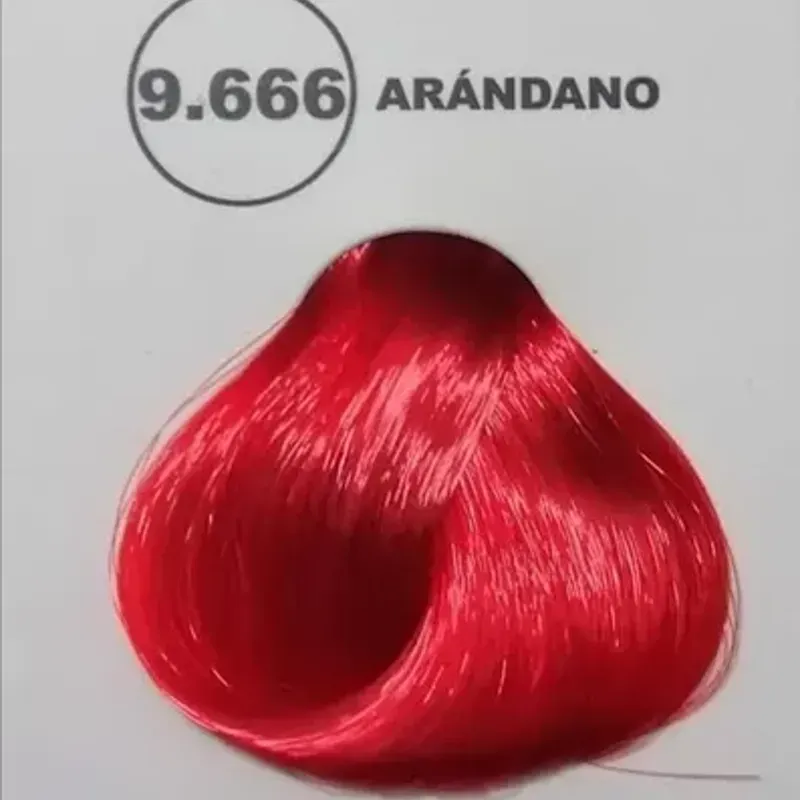 9.666 Arandano