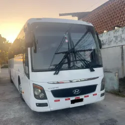 Guagua hyundai 2016