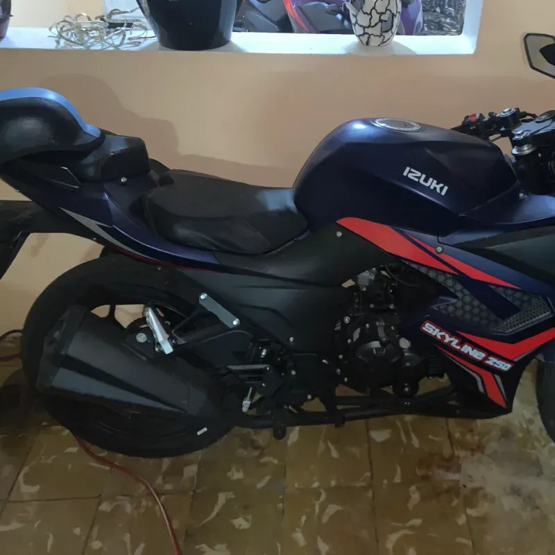 Skyline 250 cc