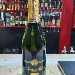 Champagne Torre de la Vida
