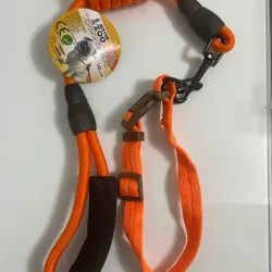 Cordón con collar