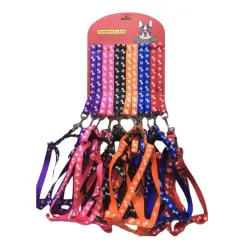 Pechera pequeña