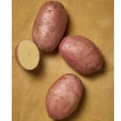Papas criollas x Kg