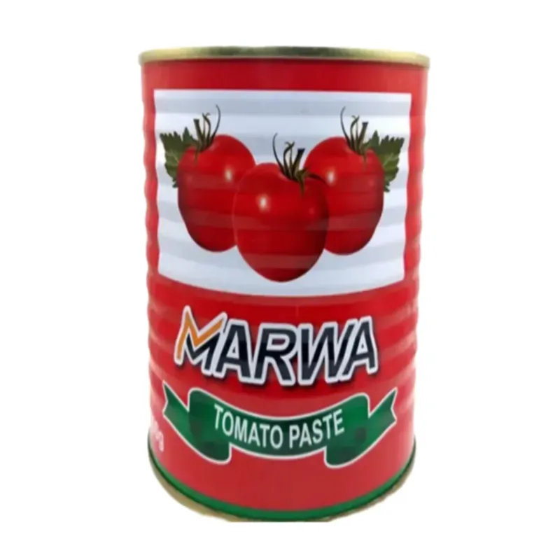 Pasta de tomate Marwa 340g