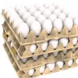Carton de huevos 