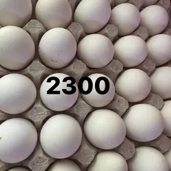 Huevos 
