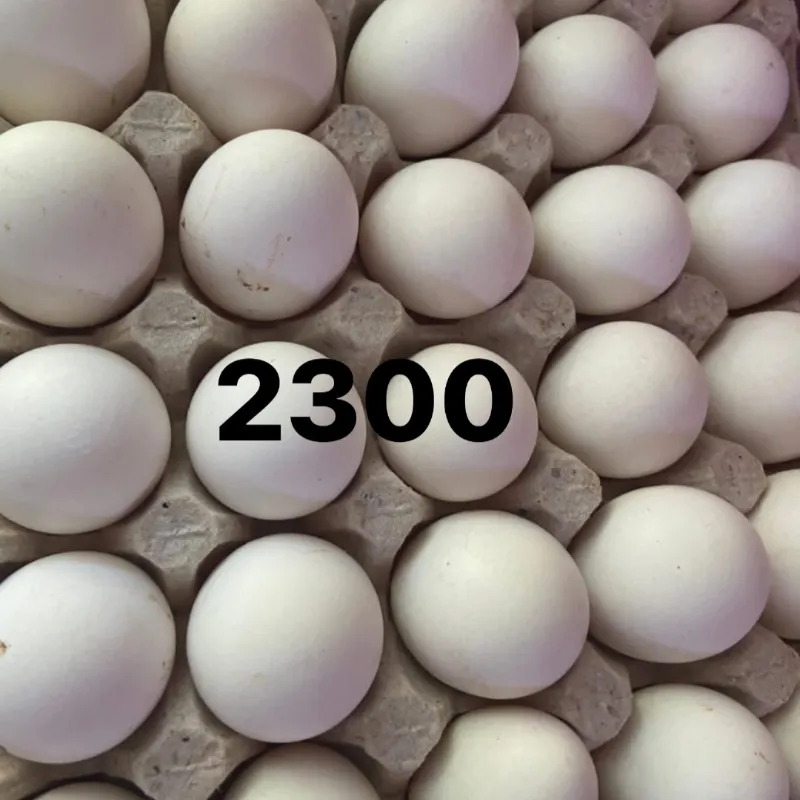 Huevos 