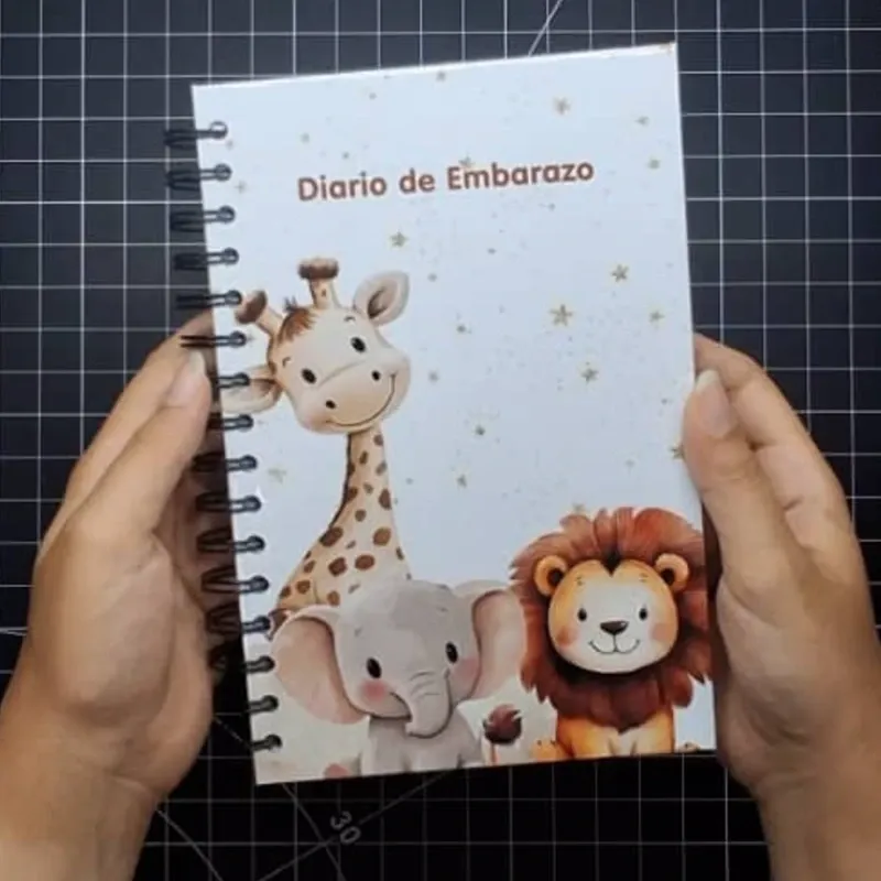 Diario de Embarazo