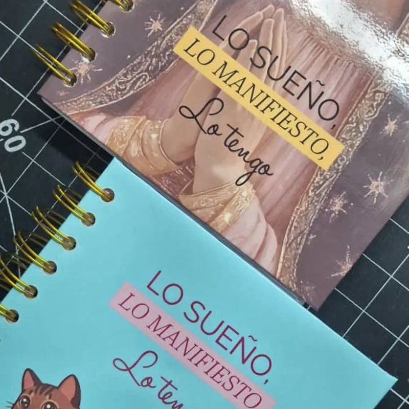 Diario de gratitud y manifestación