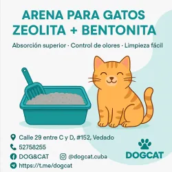 Arena para Gatos 🐱 