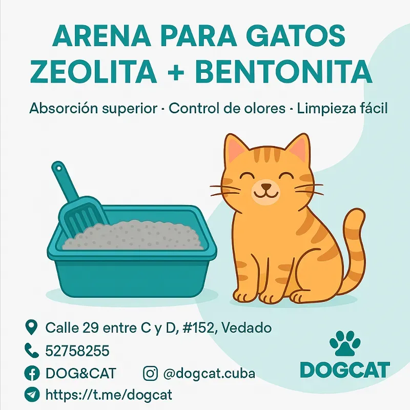Arena para Gatos 🐱 
