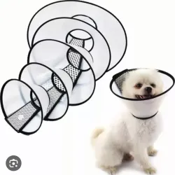 Collar Isabelino talla 6