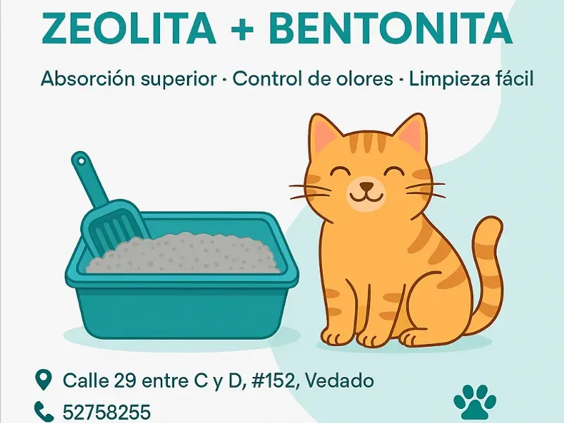 🐱ARENA PARA GATOS 🐱 